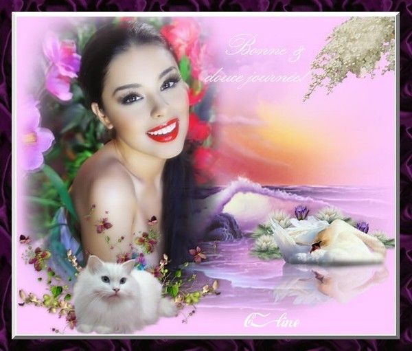 bonne journée a tous!