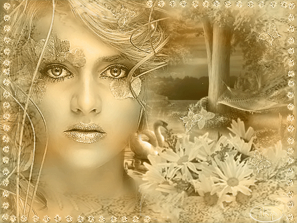 mes images coups  de coeur