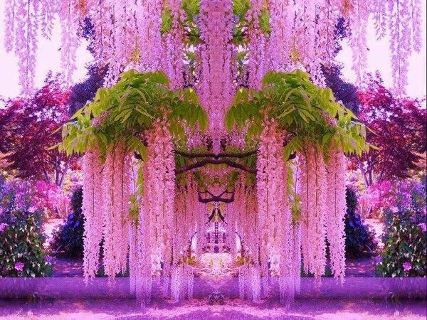 magnifique décors de rêve