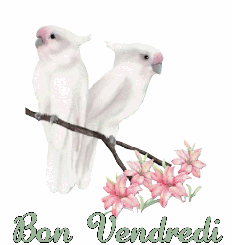 bonvendredibt5.gif
